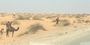 Micromine-Travels-to-Africa-4-home